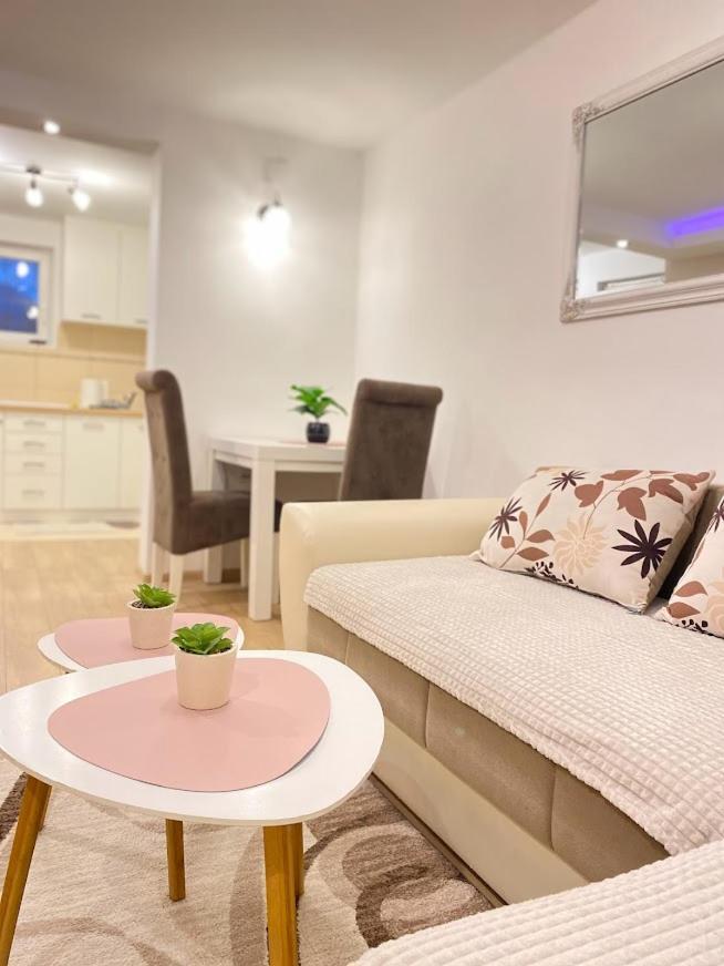 Apartman Mina Mataruska Banja Bagian luar foto