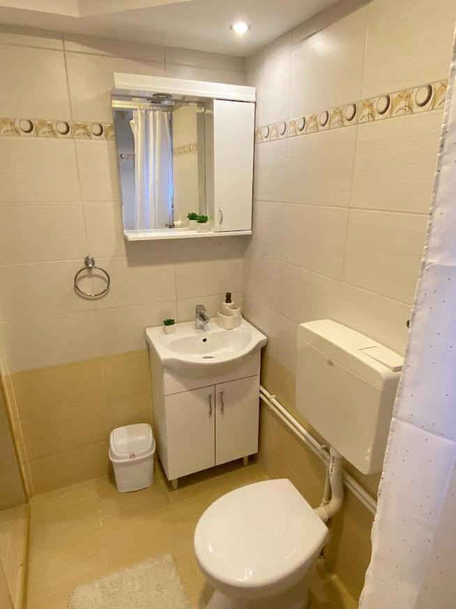 Apartman Mina Mataruska Banja Bagian luar foto